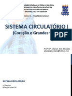 Sistema Circulatório I (Coração e Grandes Vasos)_MEDICINA_UEFS