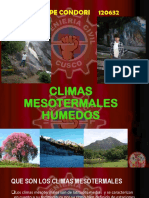 Climas Mesotermales