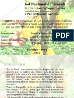 Practica Cacao PPP