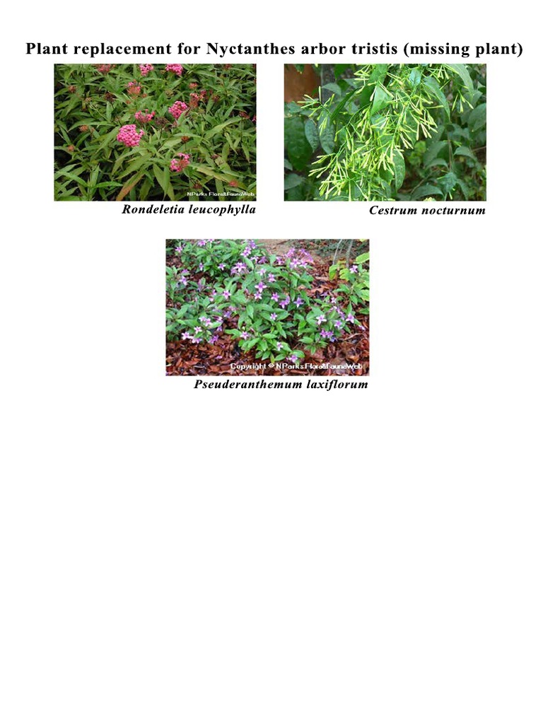 Plant Replacement PDF