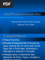 Canal Principal Do Coração (Xin)- Novo