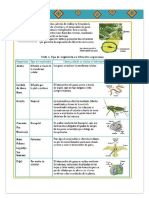 Respiración 