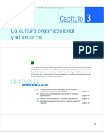 CULTURA ORGANIZACIONAL Y ENTORNO.pdf