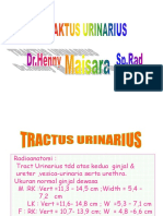 K3- Radiologi- Tract Urinarius