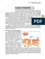 3 MEMBRANAS BIOLÓGICAS Y TRANSPORTE 0k (1).pdf