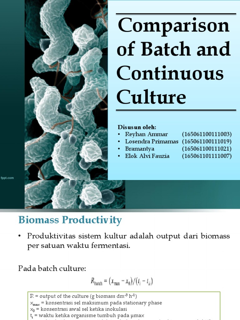 Comparison of Batch and Continuous Culture PDF
