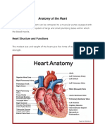 Anatomy of The Heart