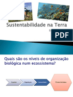 Sustentabilidade Na Terra