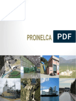 P Proinelca En-06.2016