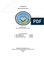 Kelompok 6 Candidiasis