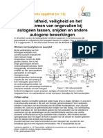 10_veiligheid_autogeen_versie_2009.pdf