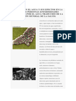 Bacterias en El Agua y Sus Efectos en La Salud de Las Personas