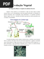Evolução Vegetal