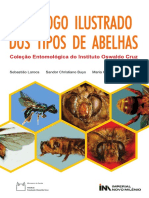 Catalogo Abelhas PDF