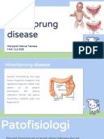 Hirsprung Disease Radiologi