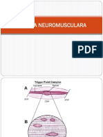 Terapia Neuromusculara