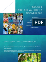 biodiversidad delfincito.pptx