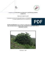 Informe de Evaluación de la Flora de Lomas.pdf