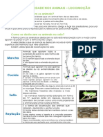 Apontamento 2º Teste