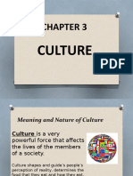 Chapter 3 Culture