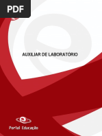 Auxiliar de Lab Livro Digital