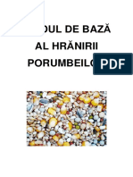 E) Ghidul de Baza Al Hranirii Porumbeilor