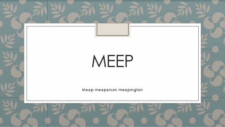 MEEP: Meeperson Meepington Overview | PDF