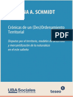 Crónicas de Un DesOrdenamiento Territorial PDF