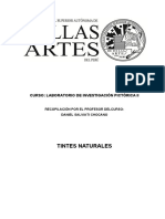 Tintes naturales.pdf