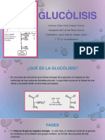 GLUCOLISIS.pptx