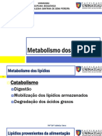 Aula 10 - Metabolismo Lipídeos