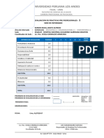 Ficha de Evaluacion de Practicas Pre Profesionales (Notas)