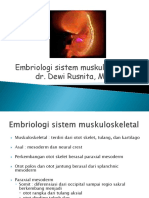 1.2.4.1 - Embriologi Muskuloskeletal