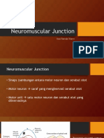 1.2.4.9 - Neuromuscular Junction