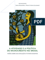 A Atividade e A Politica de Microcredito No Brasil 2014