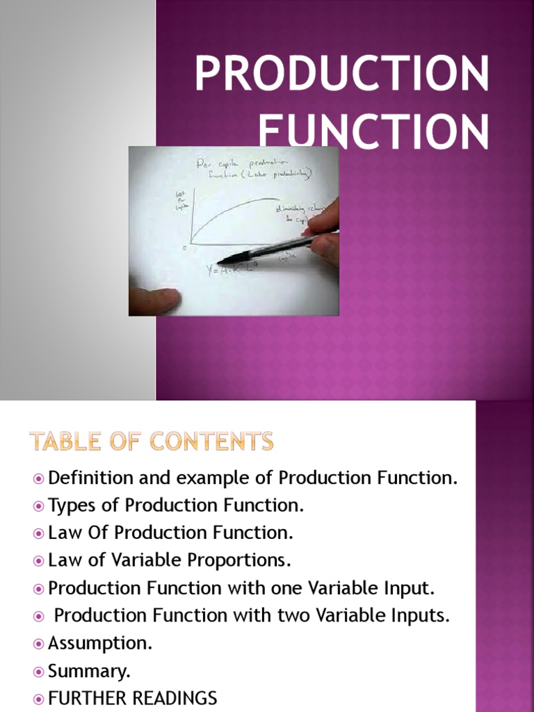 Understanding Production Functions in Economics | PDF | Production ...