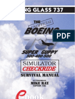 The Boeing 737-345 Simulator Checkride Survival Manual
