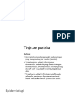 tinjauan pustaka lapkas kulit.pptx