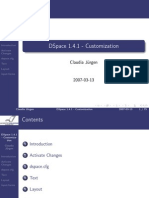 Customization DSpace