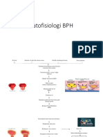 Patofisiologi BPH