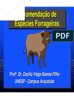 Recomendações de Espécies de Forrageiras