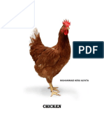 Chicken: Muhammad Heru Alfata