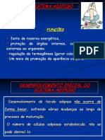 Aula 5_sistema Adiposo PDF