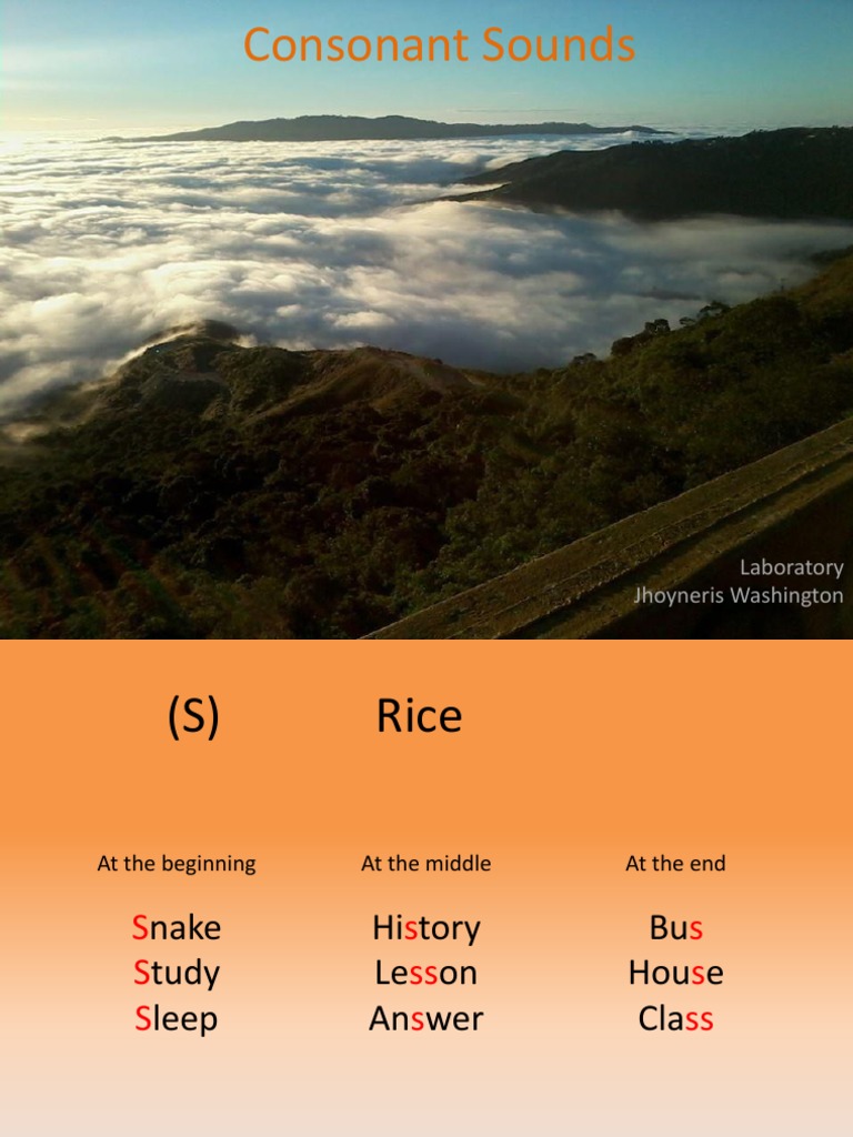 Consonant Sounds Study Guide | PDF | Languages