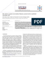 Akt isoforms regulate intermediate filament protein levels in epithelial carcinoma cells - 1-s2.0-S0014579310000682-main.pdf