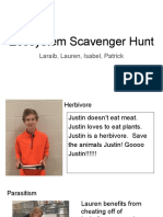 Ecosystem Scavenger Hunts