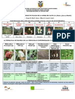 Control de Plagas y Enfermedades