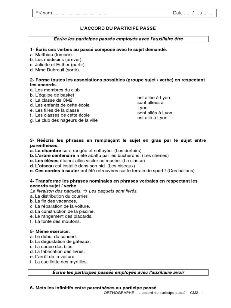 L accord Du Participe Passé Pdf Cm2 Exercices 22.l Accord Du Participe Passe Ex | PDF | Sujet (Grammaire) | Grammaire