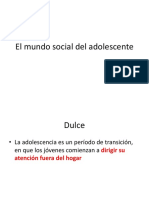 El Mundo Social Del Adolescente