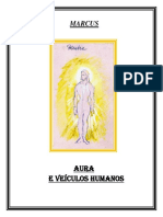 Aura e Veiculos Humanos PDF